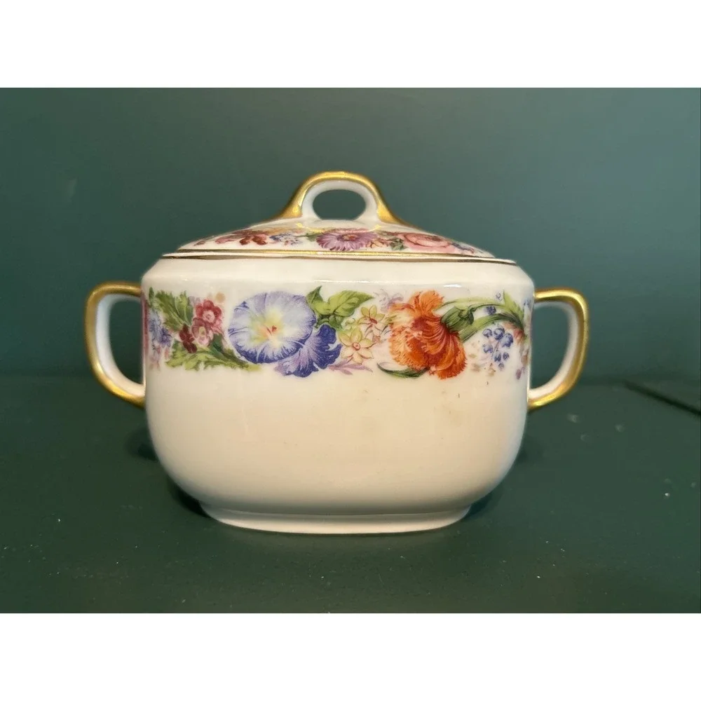 Vintage‎ 1930s Epiag Aich Czechoslovakia Floral Rare Pattern Creamer and Sugar